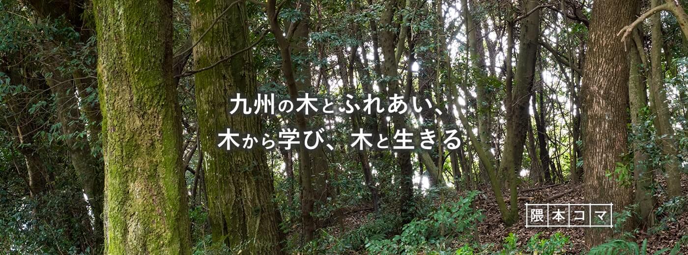 九州の木とふれあい、木から学び、木と生きる